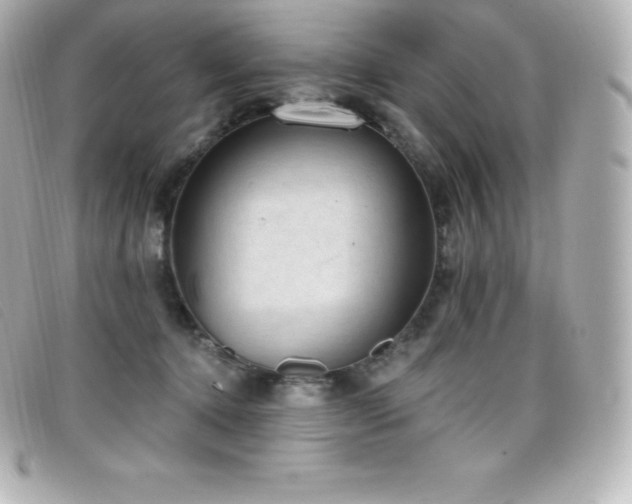X0000099480368200805091614