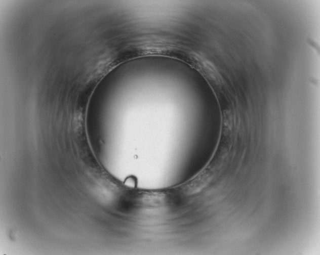 X0000099480369200805091614