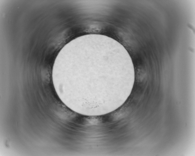 X0000099480370200805091614