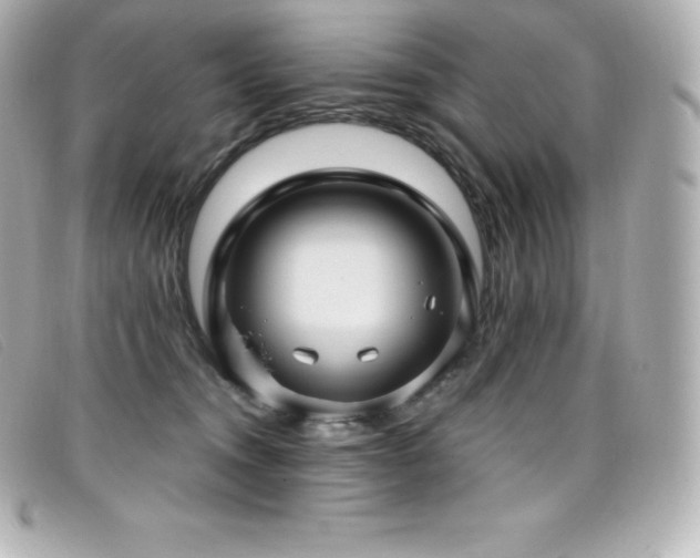 X0000099480372200805091614