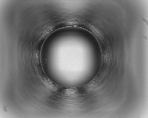 X0000099480373200805091614