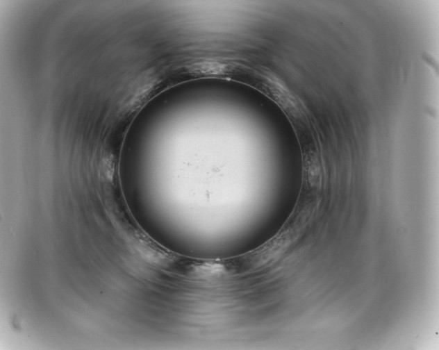 X0000099480374200805091614