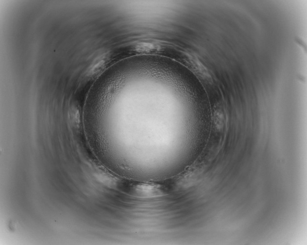 X0000099480375200805091614