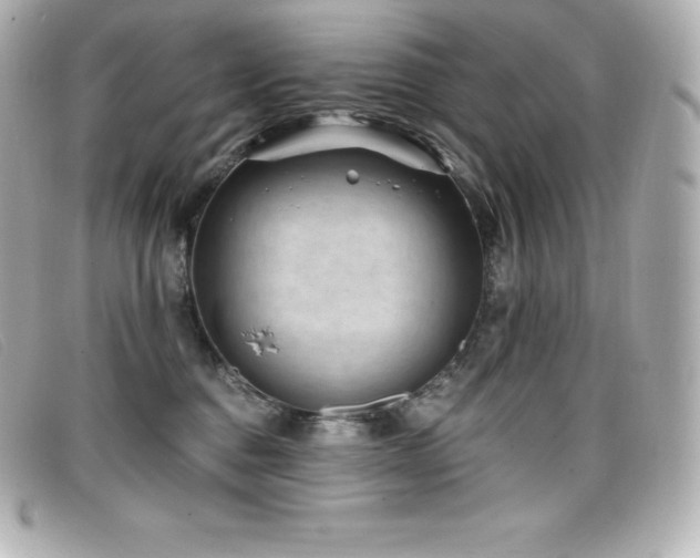 X0000099480376200805091614