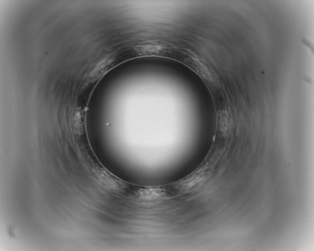 X0000099480378200805091614