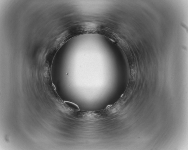 X0000099480379200805091614