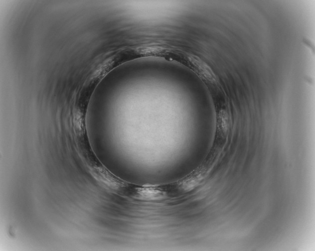 X0000099480380200805091614