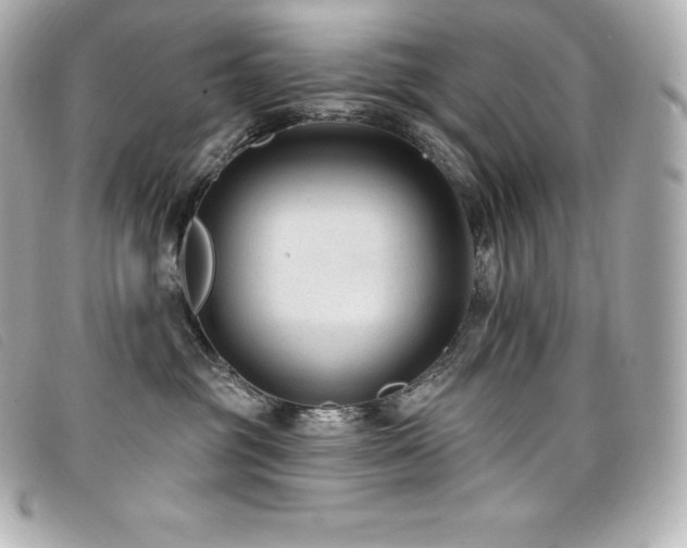 X0000099480381200805091614