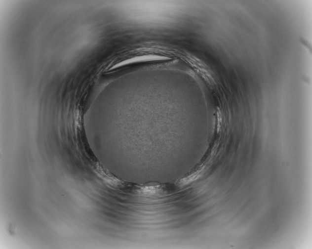 X0000099480382200805091614