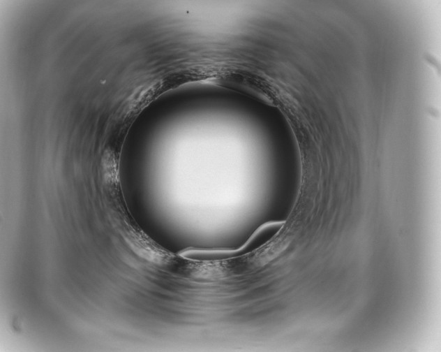 X0000099480384200805091614