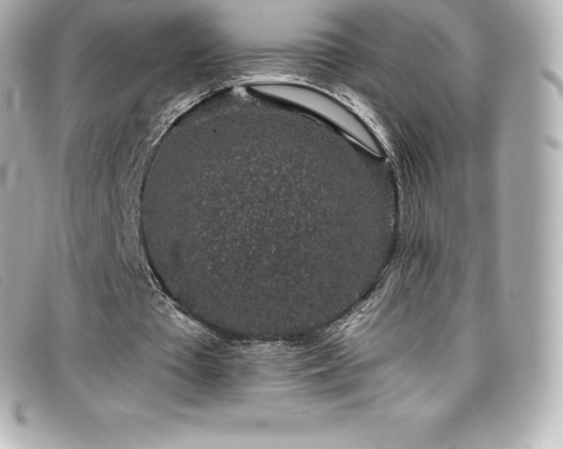 X0000099480385200805091613