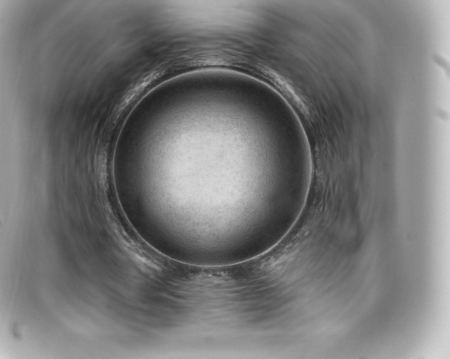 X0000099480386200805091613