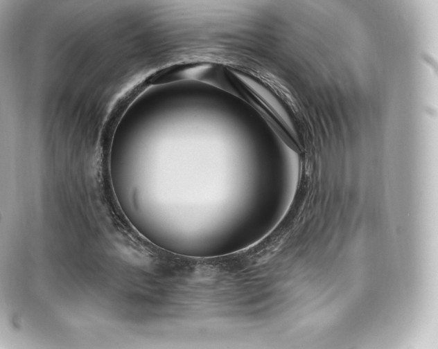 X0000099480388200805091613