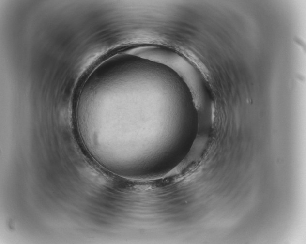X0000099480391200805091613