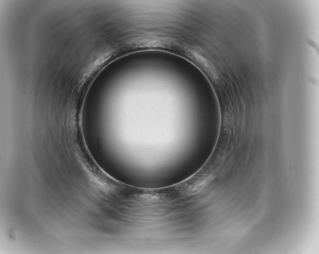 X0000099480394200805091613