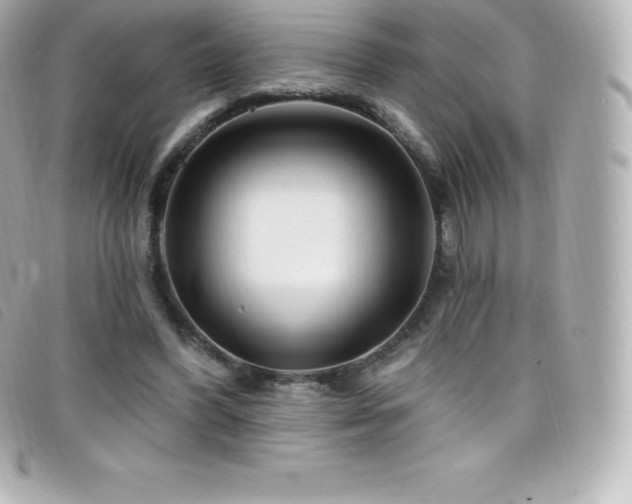 X0000099480396200805091613