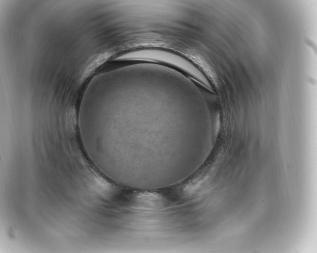 X0000099480397200805091613