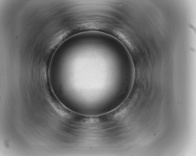 X0000099480398200805091613