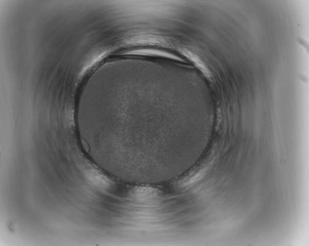 X0000099480399200805091613