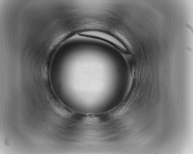 X0000099480403200805091613