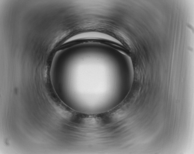 X0000099480404200805091613