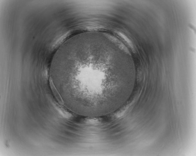 X0000099480405200805091613