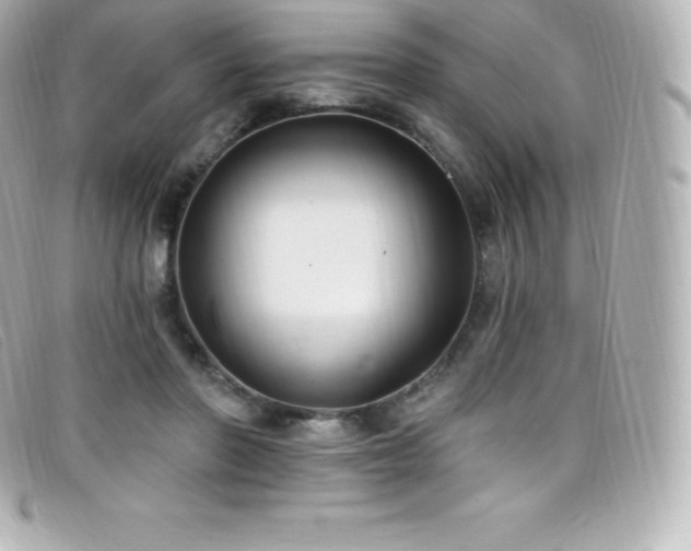 X0000099480406200805091613
