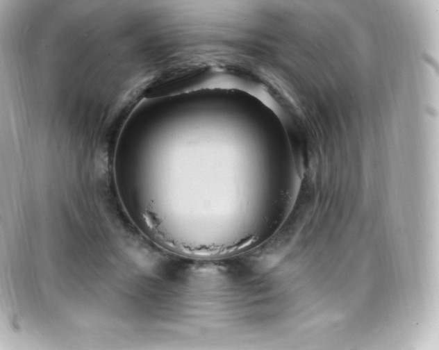 X0000099480407200805091613
