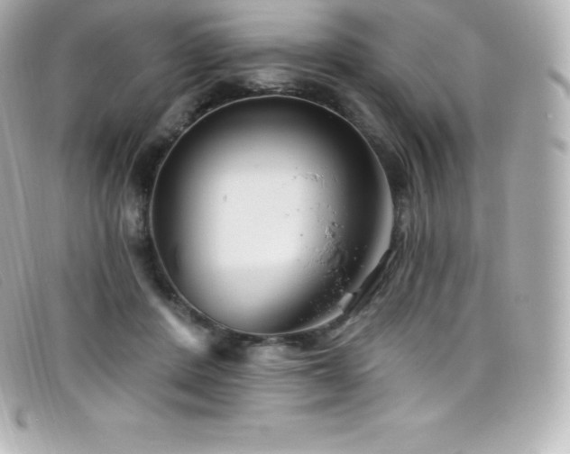 X0000099480408200805091613