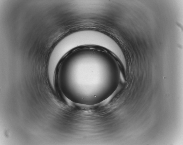 X0000099480411200805091613