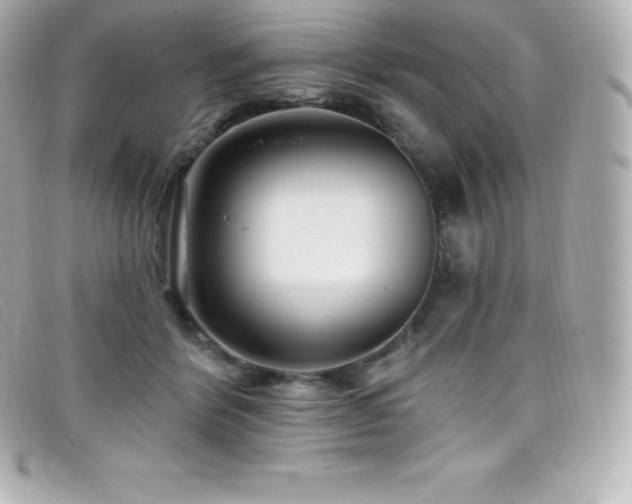 X0000099480412200805091613