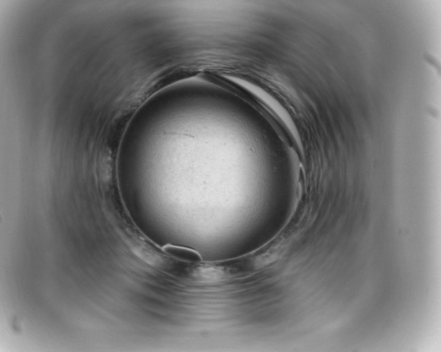X0000099480413200805091613