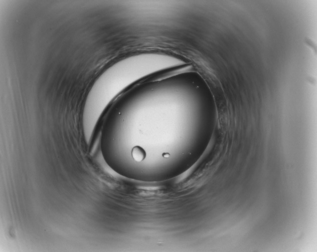 X0000099480415200805091613