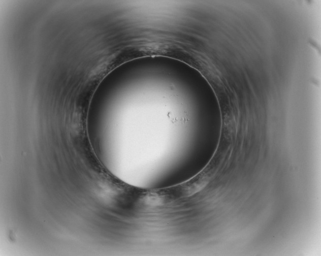 X0000099480416200805091613