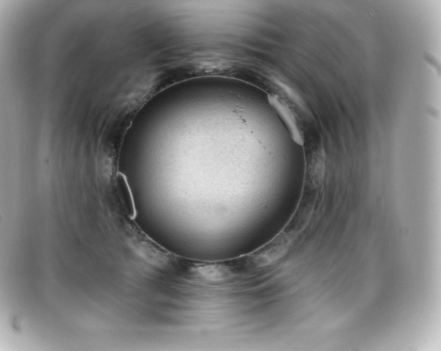 X0000099480417200805091613