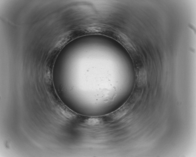 X0000099480418200805091613