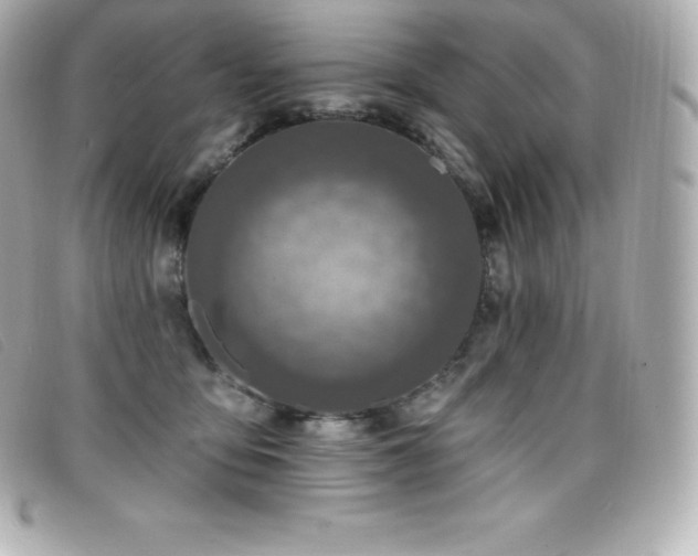 X0000099480419200805091613