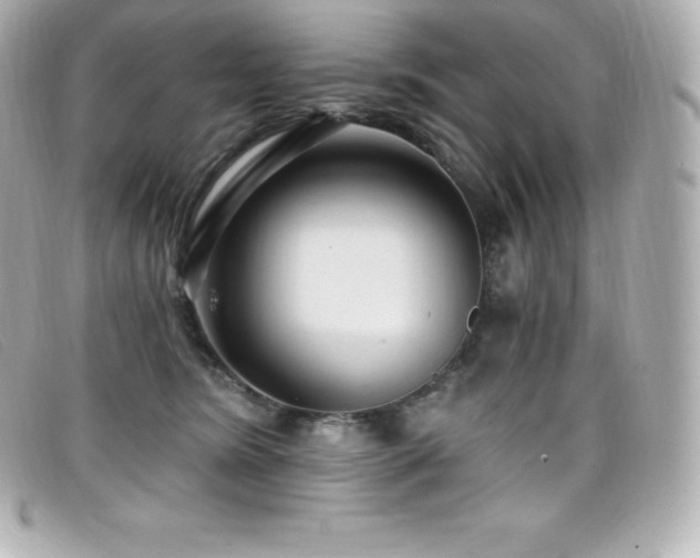 X0000099480420200805091613