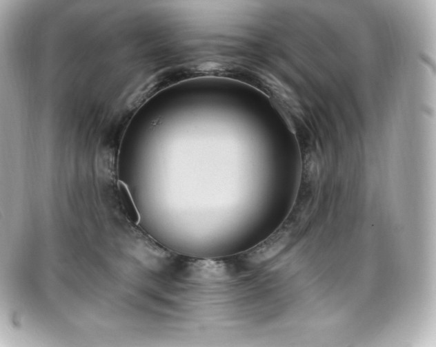X0000099480421200805091613