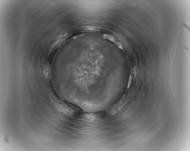 X0000099480423200805091613
