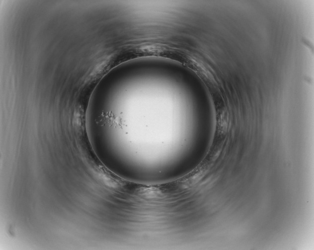 X0000099480424200805091613