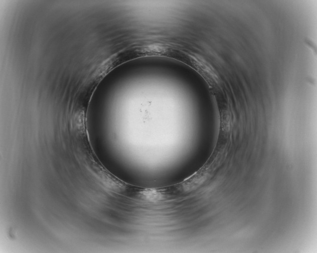 X0000099480425200805091613