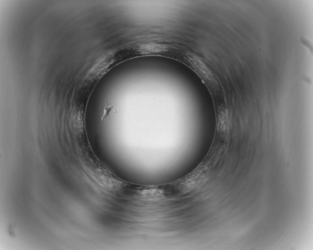 X0000099480426200805091613