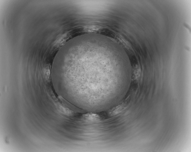 X0000099480427200805091613