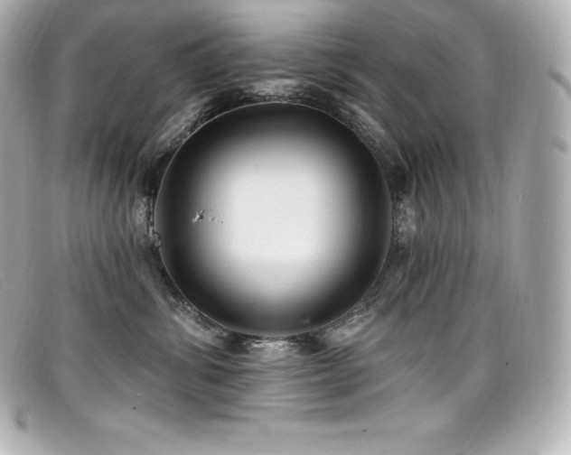 X0000099480428200805091612