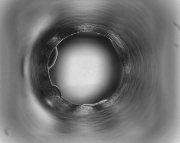 X0000099480429200805091612