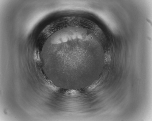 X0000099480431200805091612