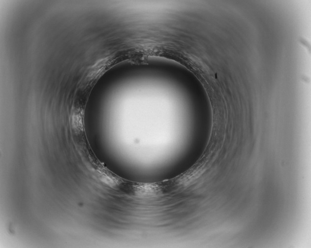 X0000099480432200805091612