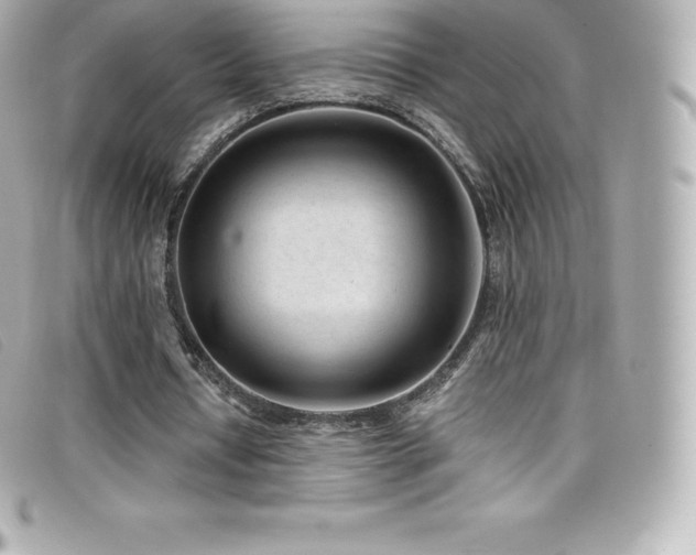 X0000099480434200805091612