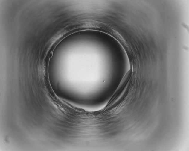 X0000099480435200805091612